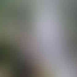 Japan's Kumano Kodo Hiking Tour