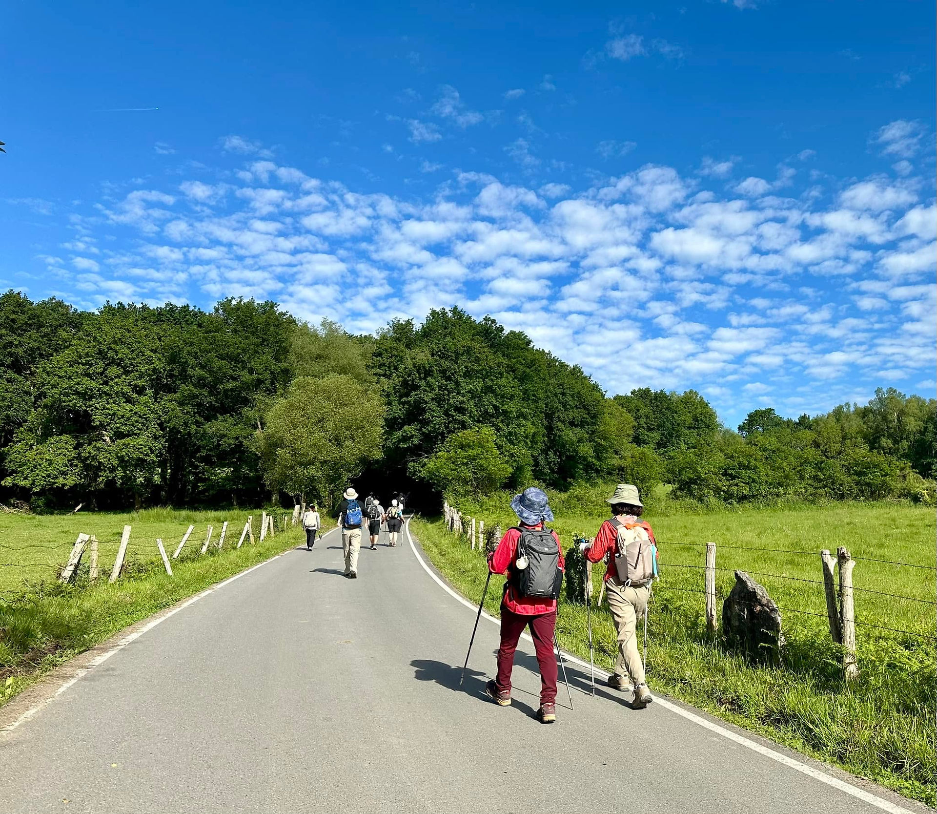 Camino de Santiago - The Seed That  Became a Journey