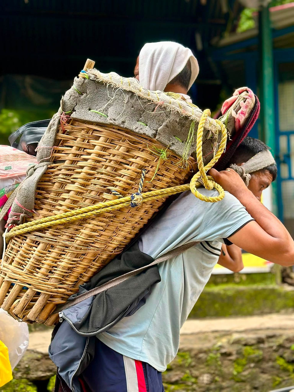 The Road to Kedarnath - Can I love what is?