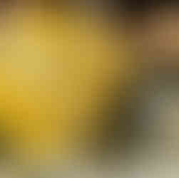 Japan Shikoku 88 Temple Pilgrimage