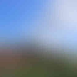 Cuba: Havana, Hemingway & Beyond