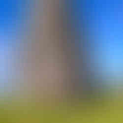 Ireland and Scotland Hiking Tour