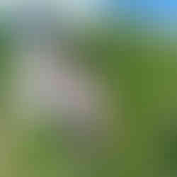 The Santiago de Compostela