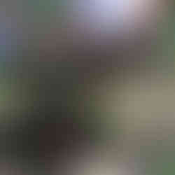 Bhutan: The Mystical Land of the Thunder Dragon