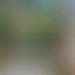 Japan's Kumano Kodo Hiking Tour