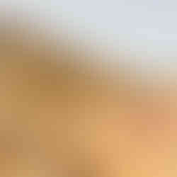 Mongolia and Silk Road of China