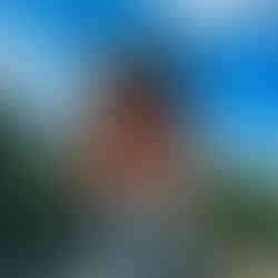 Japan's Kumano Kodo Hiking Tour