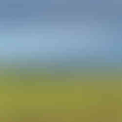 Mongolia and Silk Road of China