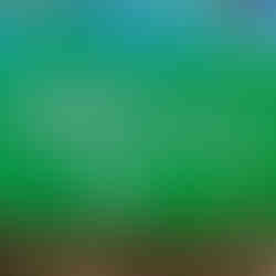 Mongolia and Silk Road of China