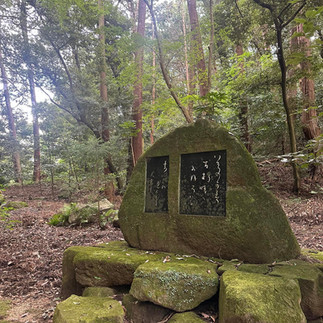 Japan's Kumano Kodo Hiking Tour