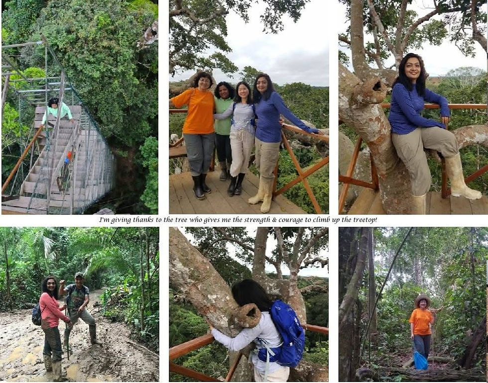 Mystical Peru: From the Amazon to Machu Picchu