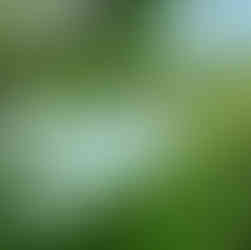 Thailand: Bangkok to Beaches Adventure