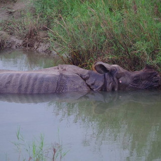 Nepal: Footsteps Through the Heart of the Himalayas