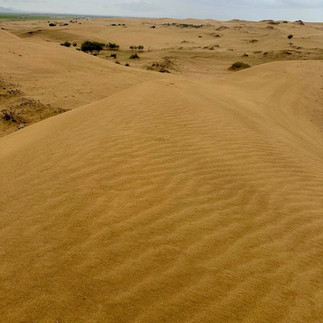 Mongolia and Silk Road of China