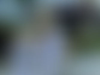 Walking the Path Before Me