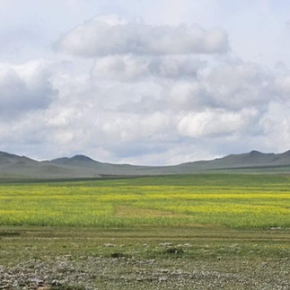 Mongolia and Silk Road of China