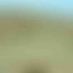 Mongolia and Silk Road of China