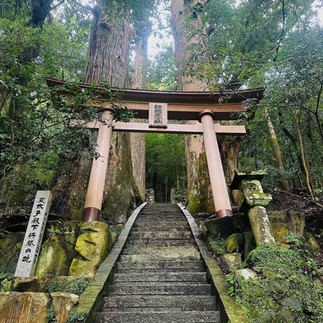 Japan's Kumano Kodo Hiking Tour