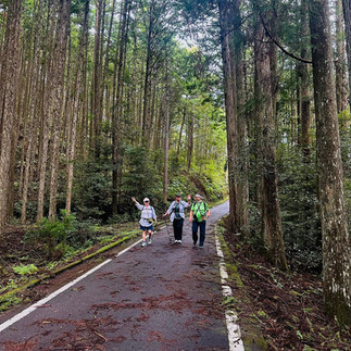 Japan's Kumano Kodo Hiking Tour
