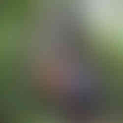 Mystical Peru: From the Amazon to Machu Picchu