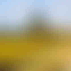 Greece, Turkey & Israel: Where History, Culture & Faith Converge