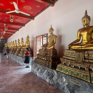 Vietnam & Bangkok: Culture, Landscapes & Timeless Traditions