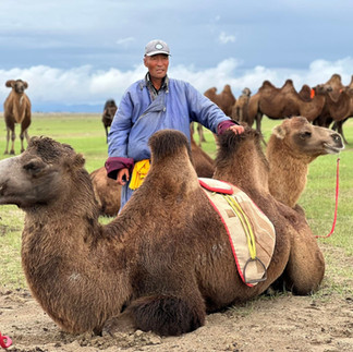 Mongolia and Silk Road of China
