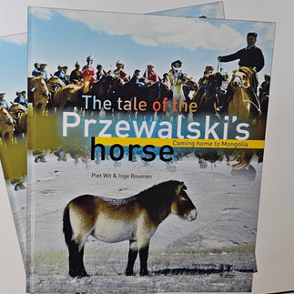 Mongolia and Silk Road of China