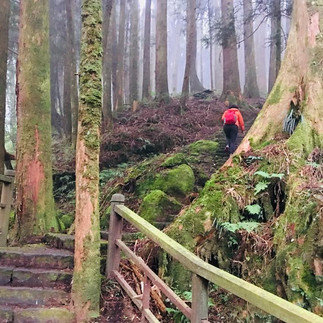 Taiwan: Mountains, Culture & Night Market Magic