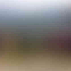 Bhutan: The Mystical Land of the Thunder Dragon