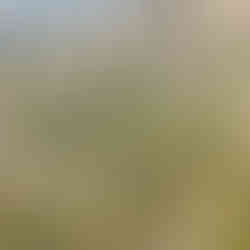 Greece, Turkey & Israel: Where History, Culture & Faith Converge