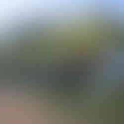 Cuba: Havana, Hemingway & Beyond