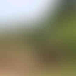 Cuba: Havana, Hemingway & Beyond