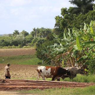 Cuba: Havana, Hemingway & Beyond