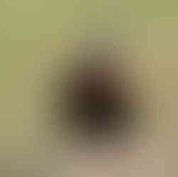 Mongolia and Silk Road of China