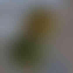 Cuba: Havana, Hemingway & Beyond