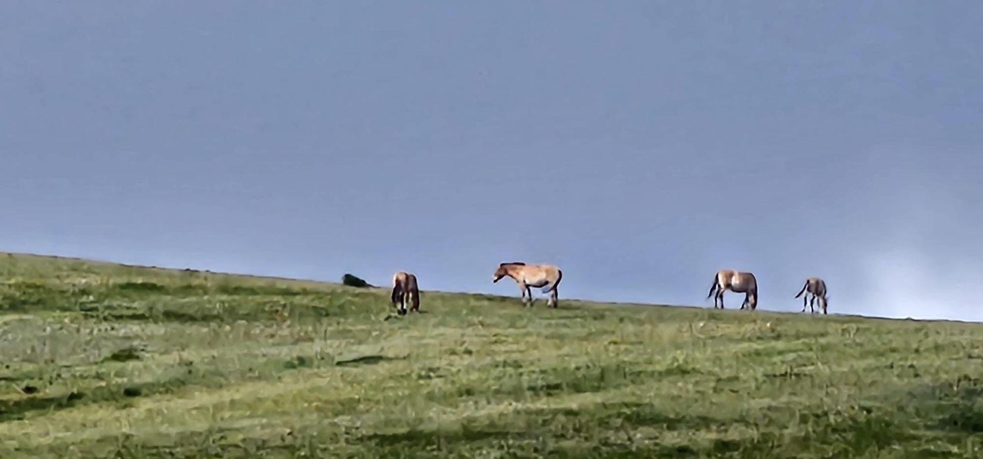 Mongolia and Silk Road of China