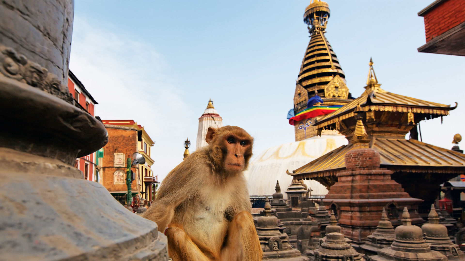 Kathmandu Swambhuinath, Nepal