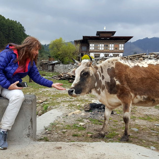 Bhutan: The Mystical Land of the Thunder Dragon