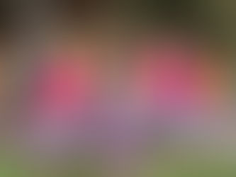 Kingdoms of the Sacred Sky: Nepal, Bhutan & Bangkok