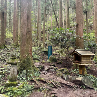 Japan's Kumano Kodo Hiking Tour