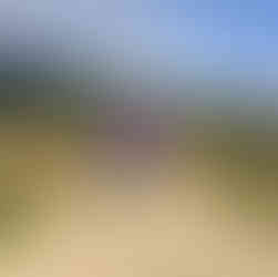 Bhutan: The Mystical Land of the Thunder Dragon