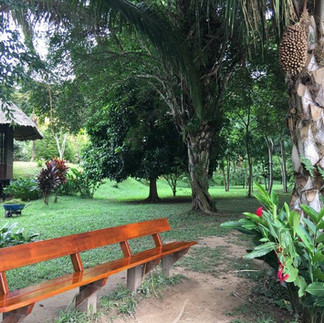 Mystical Peru: From the Amazon to Machu Picchu