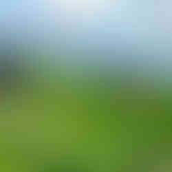 Vietnam & Bangkok: Culture, Landscapes & Timeless Traditions