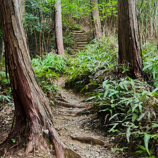 Japan's Kumano Kodo Hiking Tour