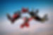 Skydiving teamwork formation.jpg