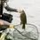Thumbnail: FRABILL LANDING NET