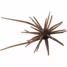 Thumbnail: HIDEUP COIKE MINI