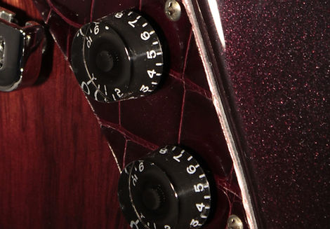 ea 24 black chery close up of metallic nitro paint gator guard & speed knobs