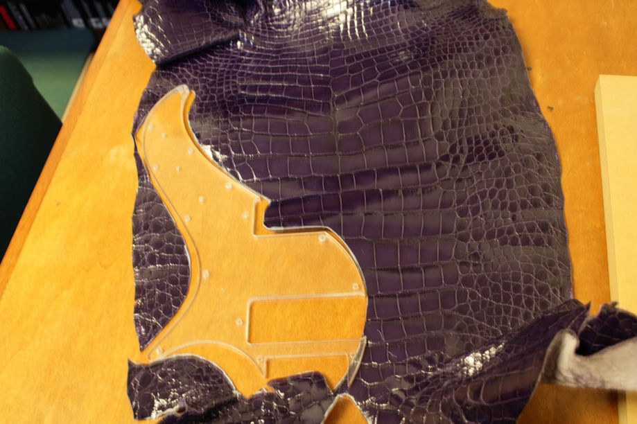 Louisiana farm raised alligator purple gloss